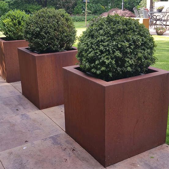 Ensemble de jardinières carrées en acier Corten contenant des arbustes taillés dans un jardin contemporain.